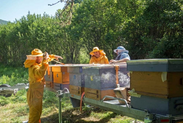 Биомед от Стара Планина покори Брюксел